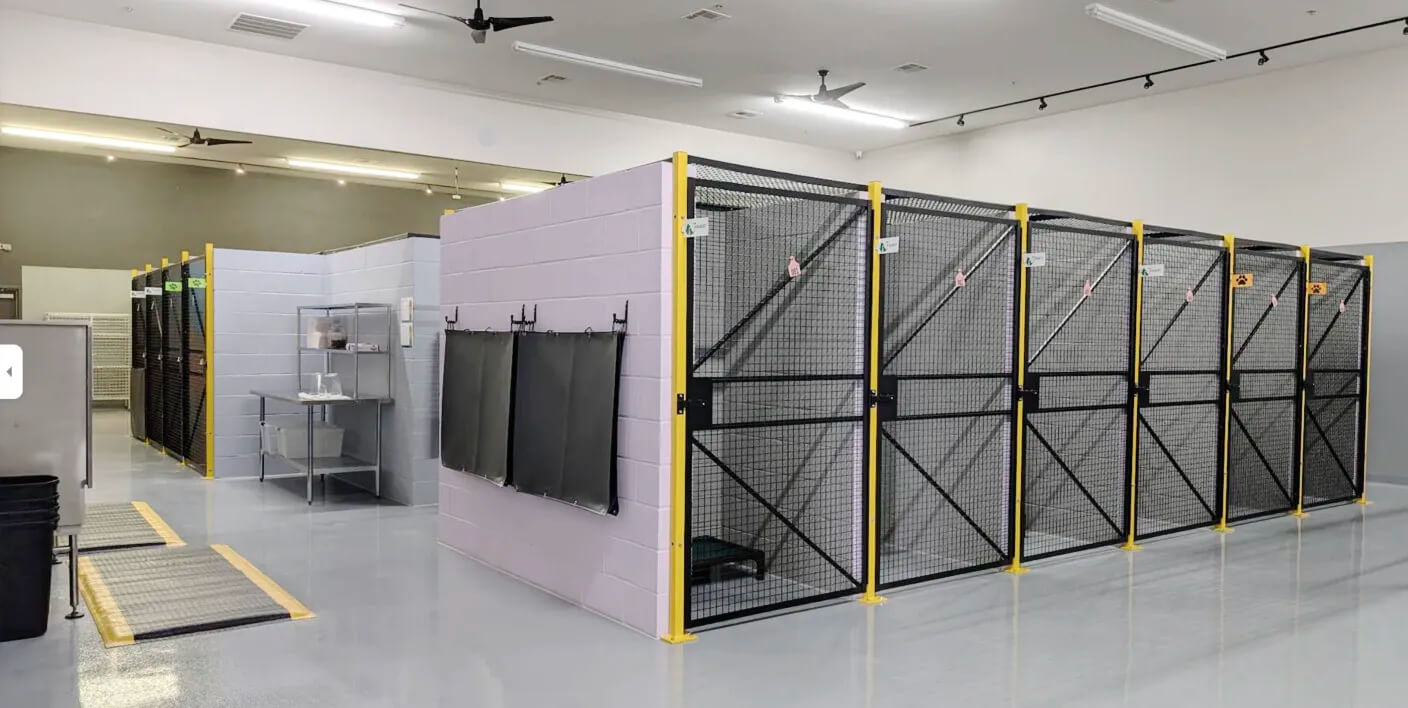 Traveling with pets DFW