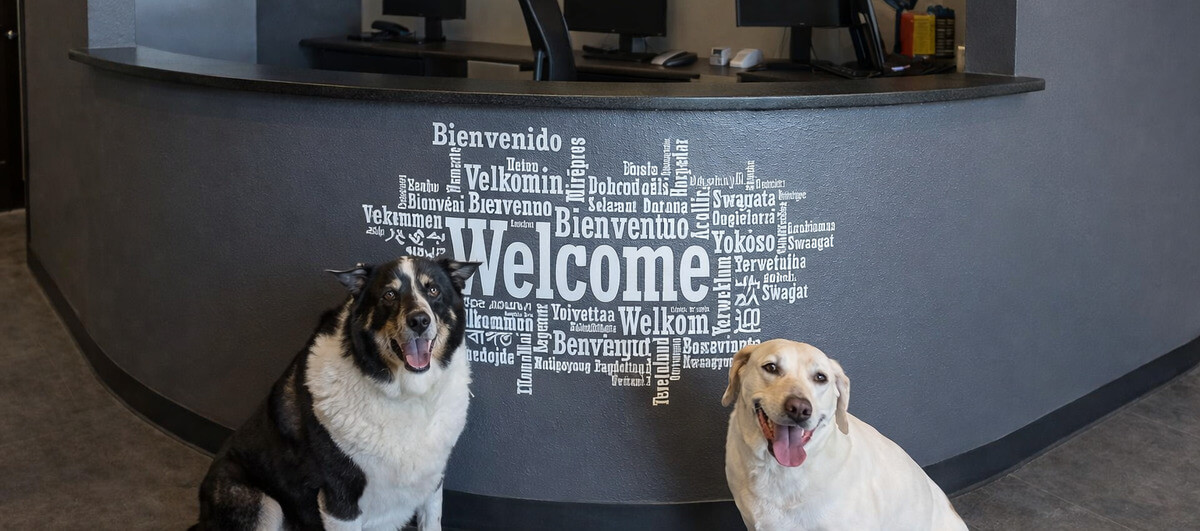 Day boarding near DFW airport